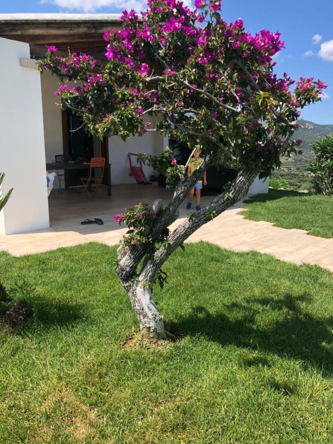 Villa Alba Esclusiva Villa Con Piscina A Sfioro E Vista Mozzafiato Sul Mare Cugnana Εξωτερικό φωτογραφία